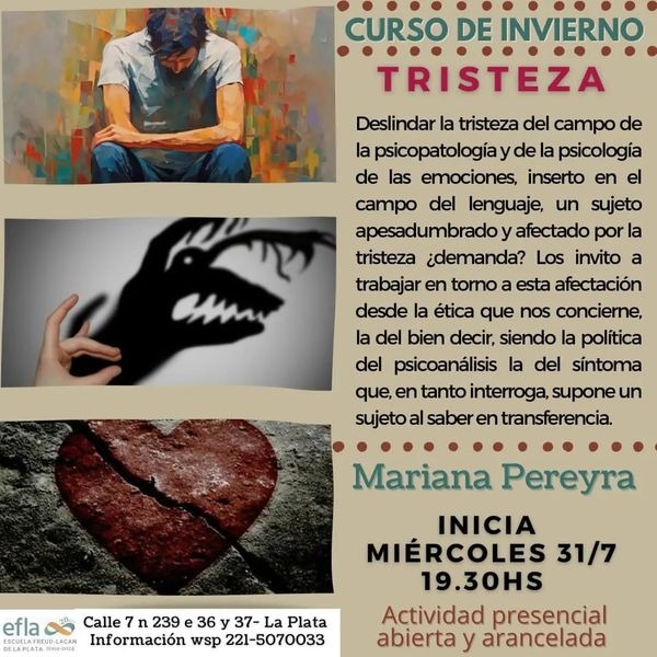 Flyer Curso de invierno Tristeza